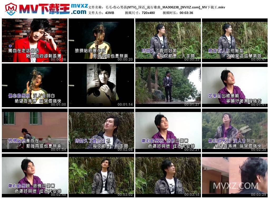 毛毛-伤心男孩(MTV)_国语_流行歌曲_MA306238